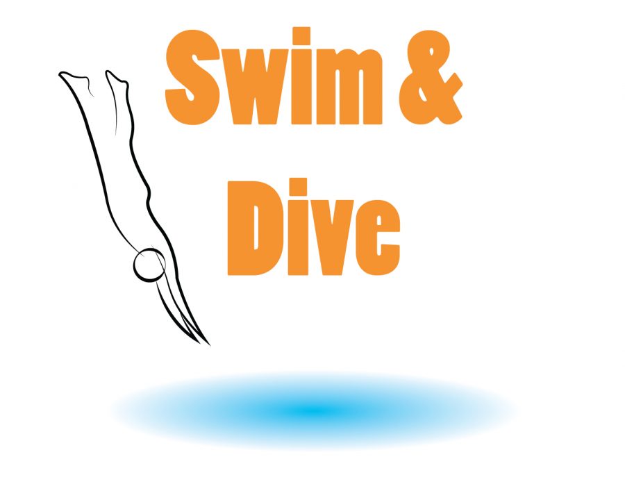 Girls%26%23039%3B+swim+and+dive+places+third+at+States