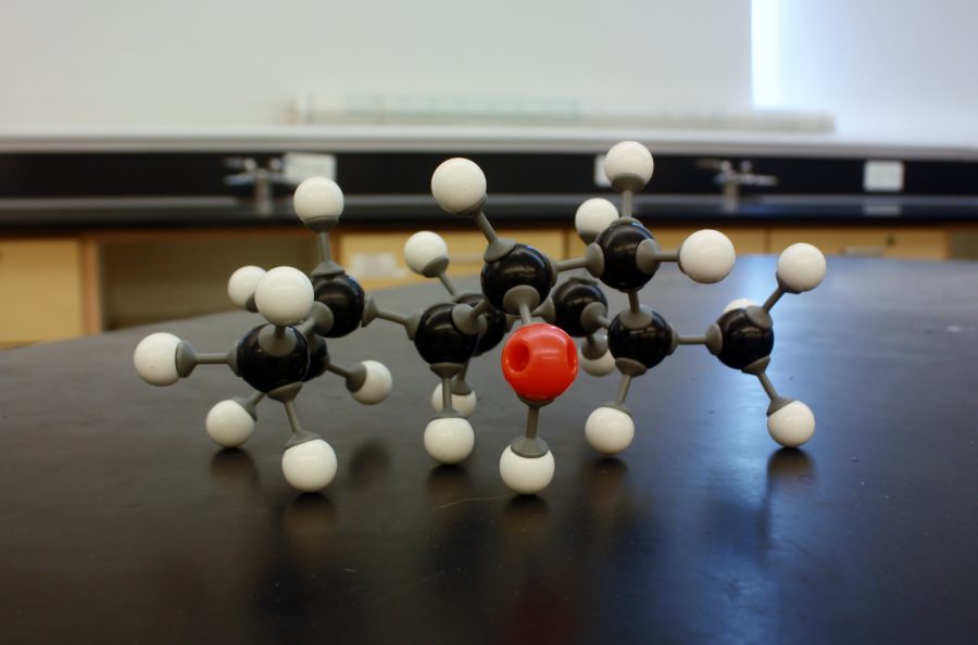A+model+of+an+organic+molecule+in+a+chemistry+classroom.+Photo+by+Devin+Perlo.
