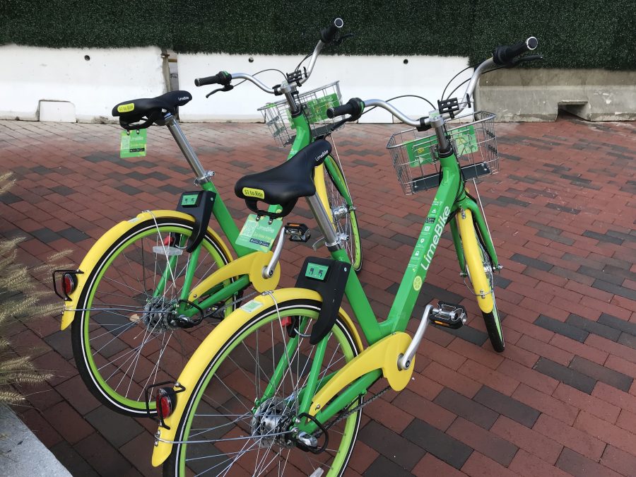 Lime bikes such as these two parked on Bolyston Street are now a common sight throughout Newton. (Photo by Joelle Sugianto)