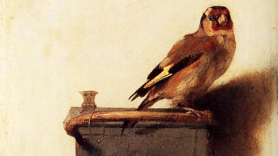 Cover art for The Goldfinch by Carel Fabritius.