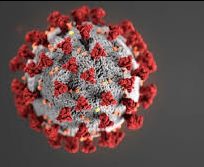 Coronavirus Update: Online learning to begin this week as NPS starts long-term planning