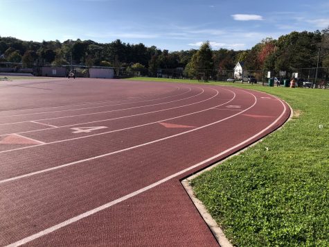 Dead squirrel, rabbit found on North track