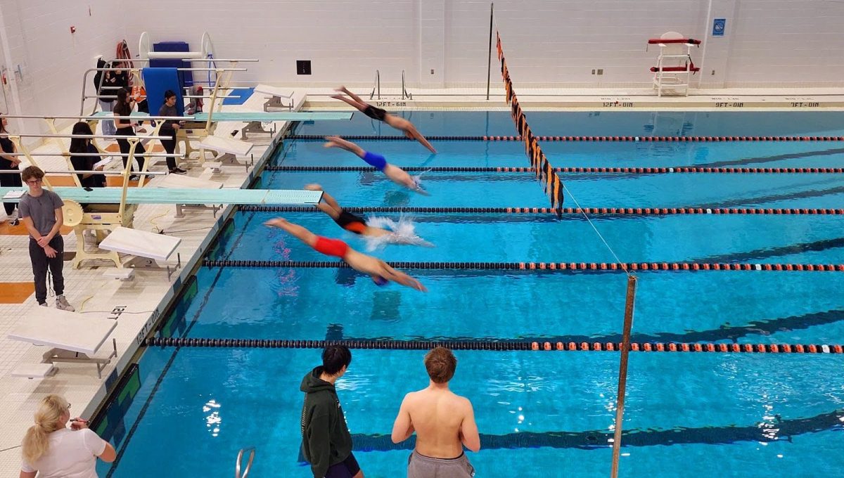 Swimmers dive at home meet where Natick, Needham, and Wellesley visited North, Thursday, Jan. 30. 